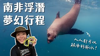 【南非系列】浮潛找海豹一起游泳！南非太好玩了吧！ by Celine and Cynthia - 不只是旅行 31,518 views 5 months ago 11 minutes, 59 seconds