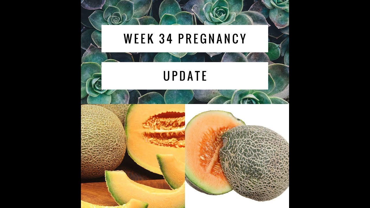 Week 34 Week 34 Pregnancy Update - YouTube