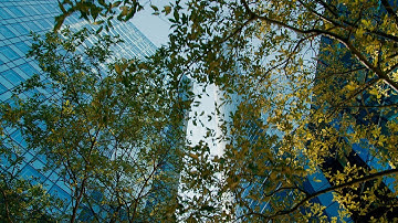 Symbiotic, Interdisciplinary Design — Decarbonizing the Built Environment