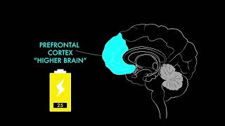 Speaking Through Me - Adolescent Brain