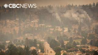 What you need to know about dealing with insurance companies after a wildfire