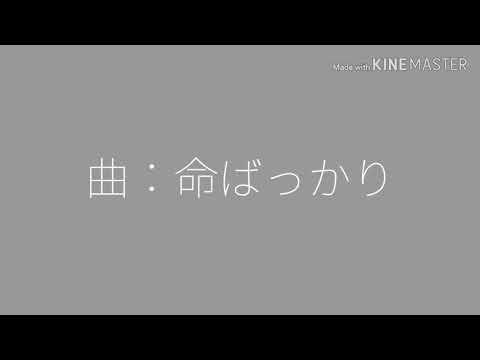 【文字PV】命ばっかり
