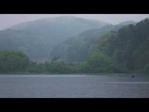 Lost In The Misty Wet: A Journey Of Discovery