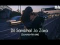 Dil Sambhal Jaa Zara | Lofi (Slowed + reverbed) | Arijit  Singh | |LOFI BOLLYWOOD SONG 2024