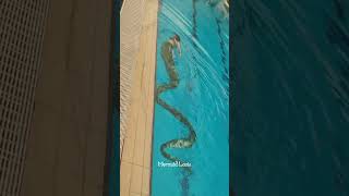 6 meters swimmable snake tail 🐍Make your dream of being a free snake come true 🐍