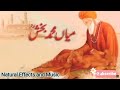 Sufi kalam mian muhammad bakhsh          punjabi poetry sadpoetry