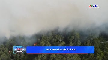 Cháy rừng sản xuất ở Cà Mau