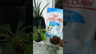 ASMR #puppy #health nutrition #best quality #age 2-10 months #dog food #royal canin #popular #shorts