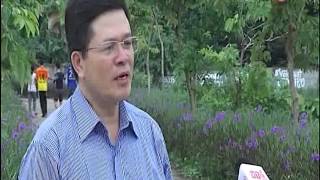 Phần mềm quản lý sản xuất lợn giống MPigs 2.0 screenshot 2