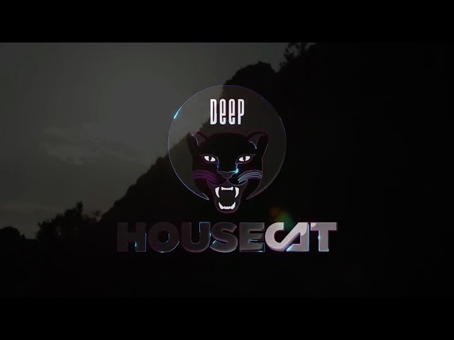 Deep House Cat Show - Sweet Cherry Mix- feat. Jeff Haze
