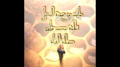 ماتيسر من سورة النحل تقبل الله منا ومنكم #تلاوات #القرآن_الكريم #قرآن #رمضان #quran