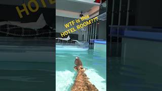 Let's review a private pool in the sky room in CHONGQING, China #hotel #review #travel #travelvlog