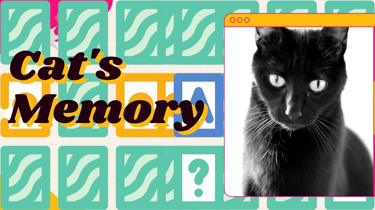 Cat Facts Do Cats Remember Their Previous Owners? YouTube