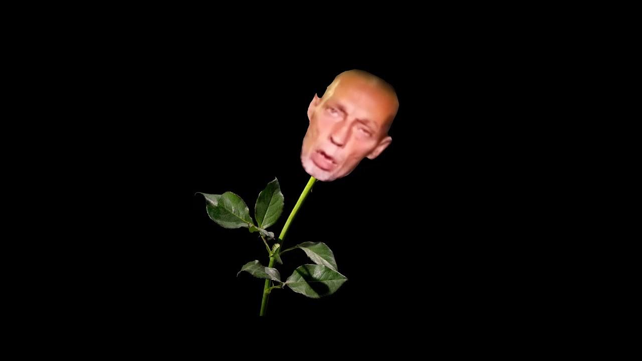 Die Rose hat mich gebissen RAW MIX YouTube Die Rose hat mich gebissen RAW MIX YouTube