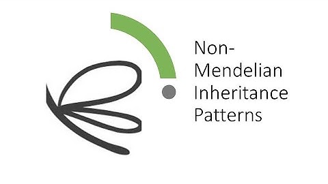 Non-Mendelian Inheritance