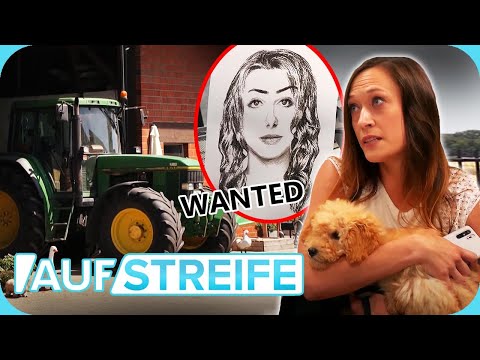 Video: UPDATE: Vermisster Hund wird nur von einem Fremden beansprucht