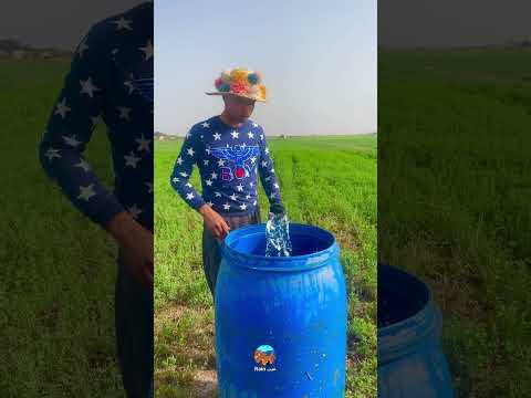 الدوا باش كنداوي الفص ة على الفراشة قبل متول ي دودة