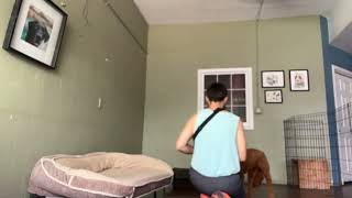 Ruby & Leo practice “place”