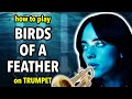 How To Play Birds Of A Feather On Trumpet Brassified How To Play Birds Of A Feather On Trumpet Brassified