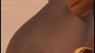 Madagascar 1Ne - Gloria The Hippos Twirling Booty