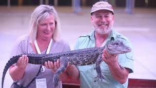 Check out the sights, sounds and furry friends at the Splash Bash in Gulfport