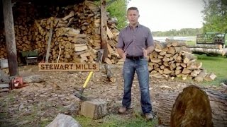 Stewart Mills for Congress: Dead Wood