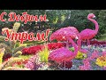 🌹Доброе Утро!Я Построю РАЙ🌹Море Цветов!Очень Красивая Песня!Сергей Носко!Райские Сады Полюбуйтесь!🌹