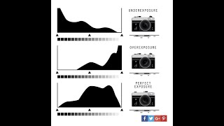 Levels Adjustment Layer Checking and resetting the black and white point screenshot 2