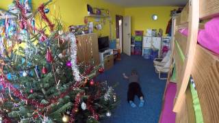 Vánoce 2015 Matýsek