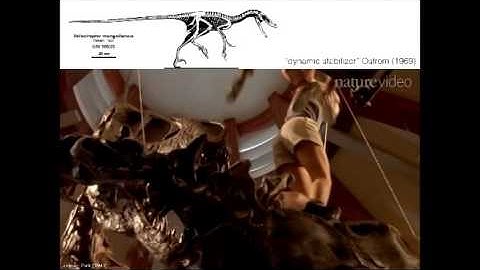 2017 Michigan Robotics Day- Talia Moore