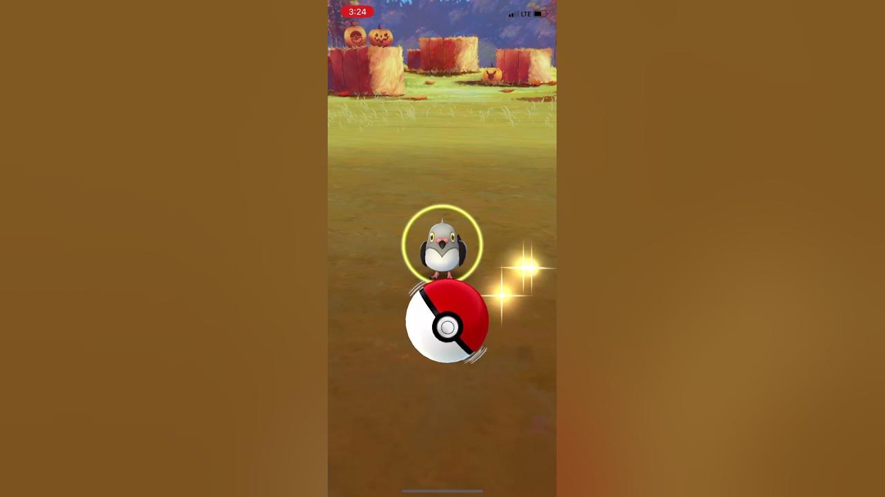 day-2-of-trying-to-get-a-shiny-shiny-pokemon-pokmongo-youtube