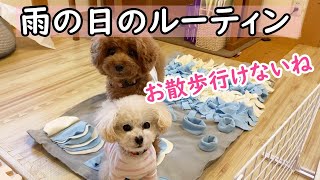 雨の日のルーティン 雨の日のルーティン