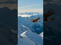 Águila Pescadora EN ACCIÓN 🦅 Cazador Implacable del Cielo #Shorts #Wildlife