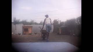 How wheelbarrows will be used