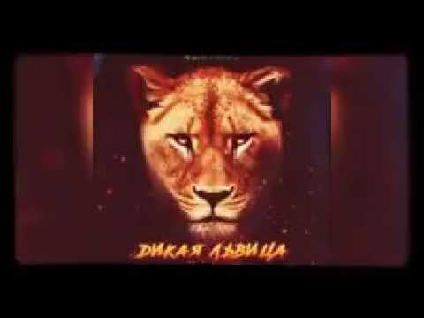 (Russian) Tik Tok full lion song trending 2020.