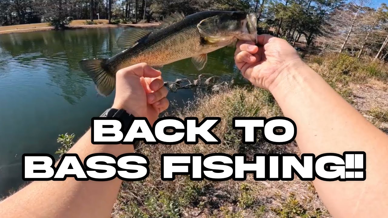 Winter bass fishing!! Best Baits to Use In the Winter