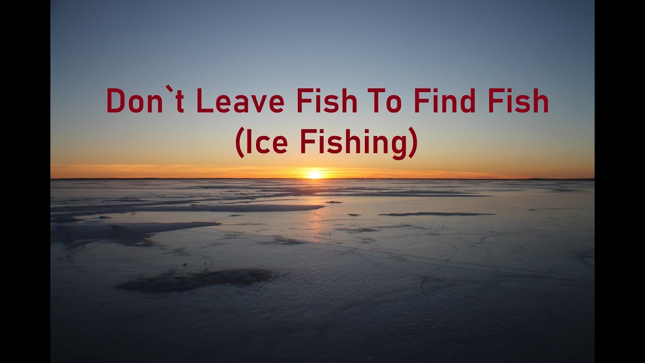 Don't Leave Fish To Find Fish (Ice Fishing) YouTube