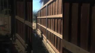 Postmasters 2 Profile