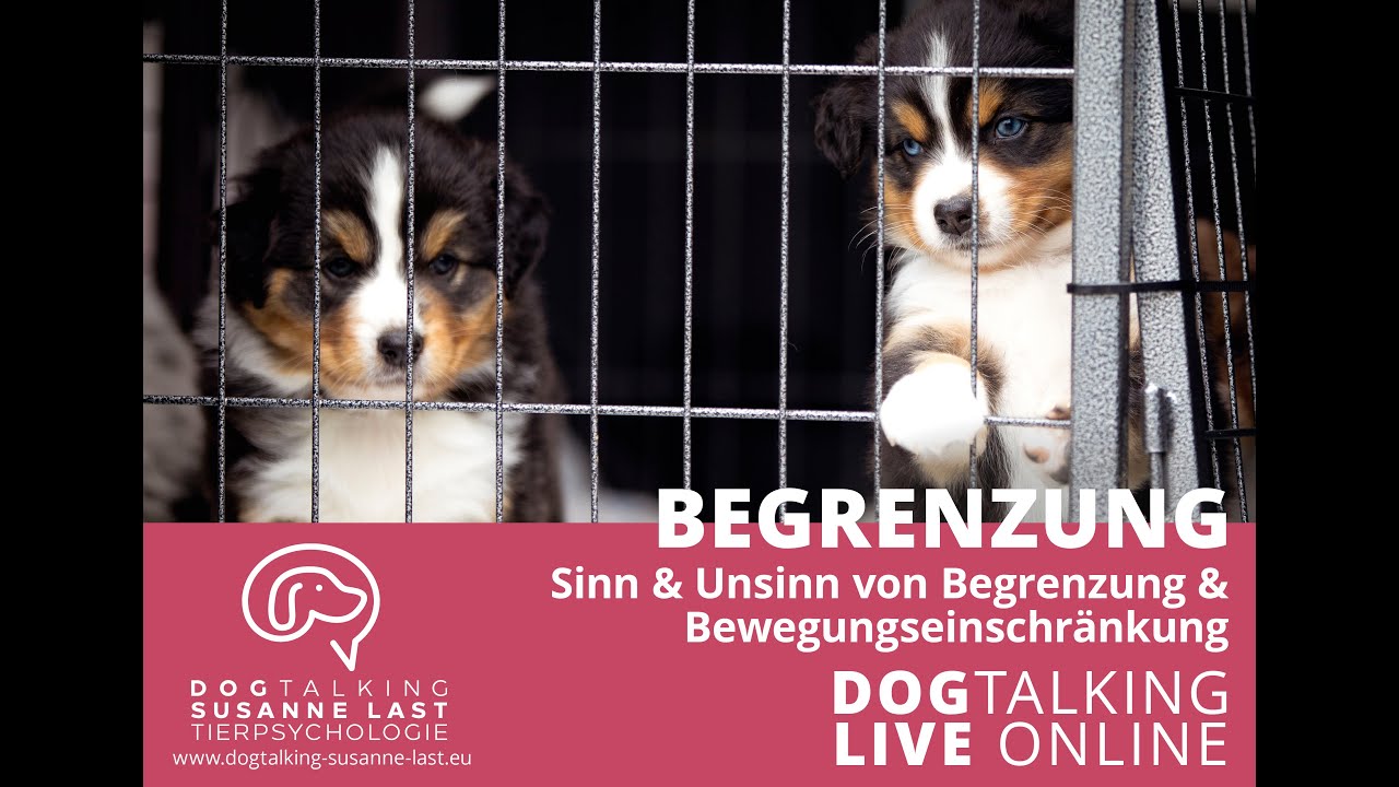 Begrenzungen Sinn & Unsinn von Begrenzungen und Bewegungseinschränkungen