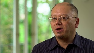 Windows of opportunity and vulnerability in brain development