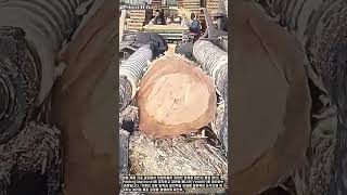 회전식 원목 가공 장비 #process #veneer #manufacturing #timber #industrial