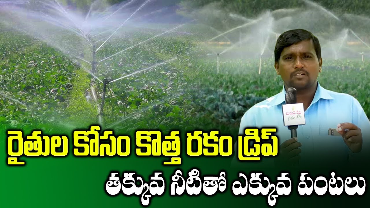 Low Cost Drip Irrigation System for Farmers || Bala Raju || Drip System ...