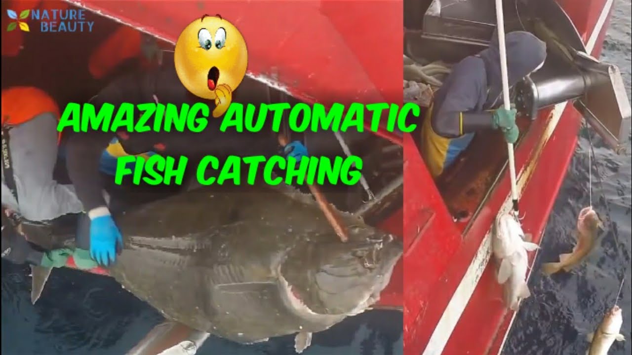 Amazing Automatic Line | Catching Fish And processing | Right on Ship ...