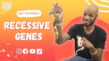 Just The Basics: Recessive Genes in Ball Pythons