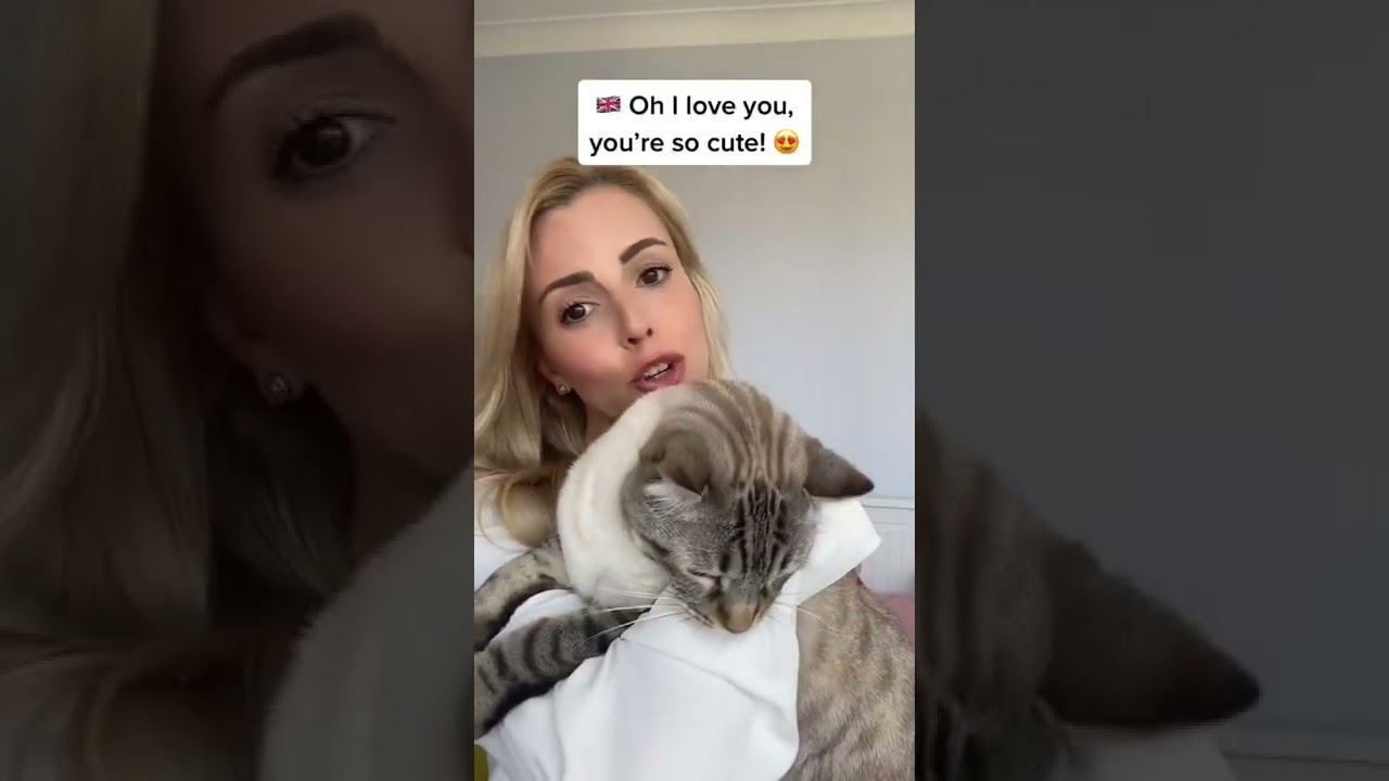 He was NOT impressed! 😼 