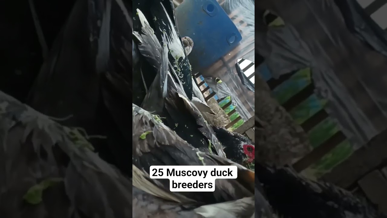 please give me advice 