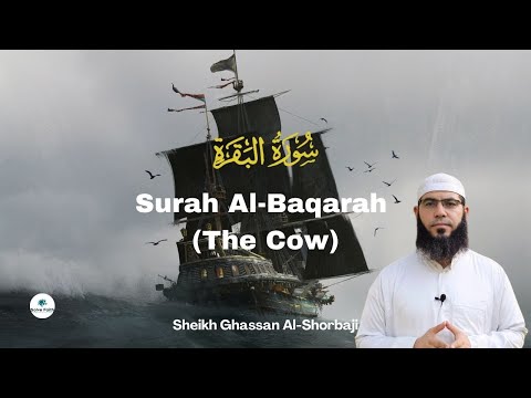      سورة البقرة    