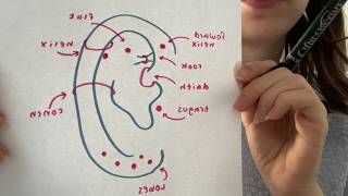 Asmr Giving You Ear Piercings