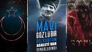 Pasha - Vatan