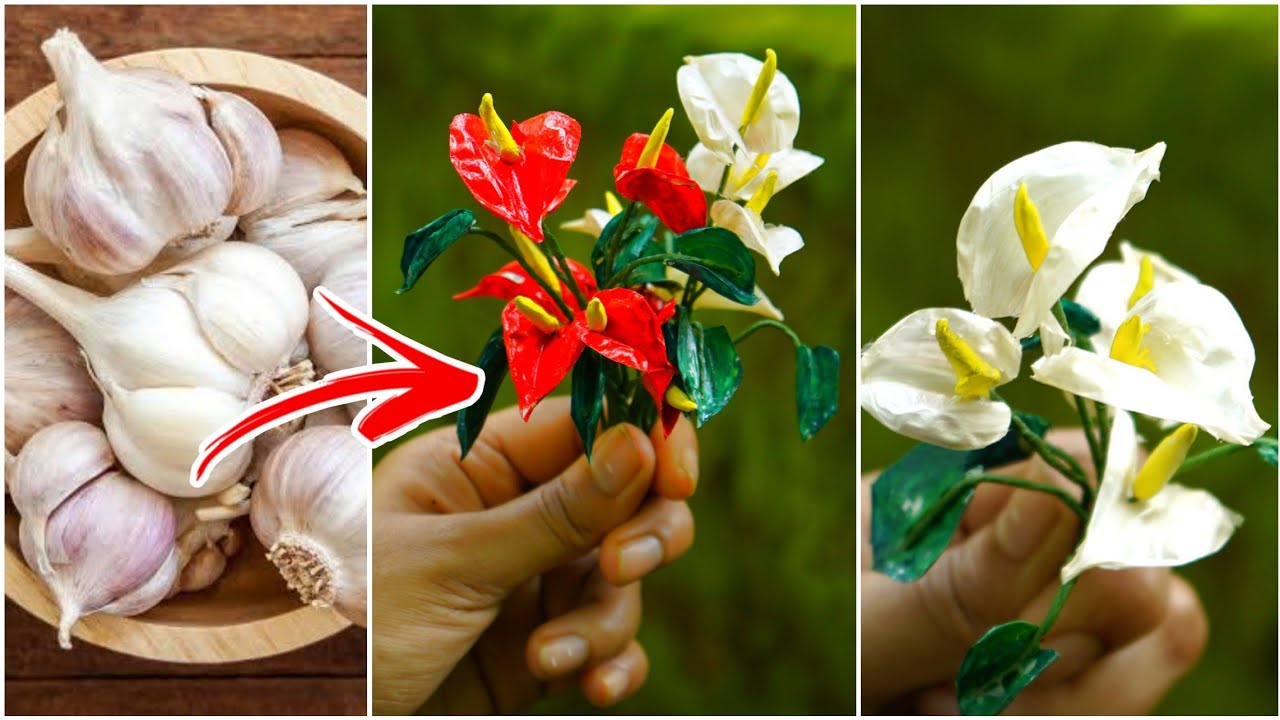 വെളുത്തുള്ളിതൊലി വെറുതെ കളയരുതേ Anthurium flowers  ഉണ്ടാക്കാം| Reuse Ideas |DIY|DayDreamer Merin